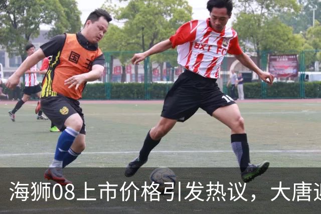 海狮08上市价格引发热议，大唐迎来了好时机